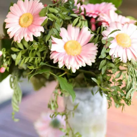 Holiday home Zonnestroom