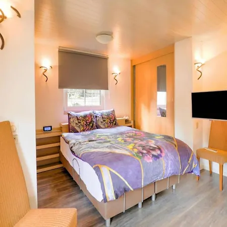 Holiday home Zonnestroom Meijel