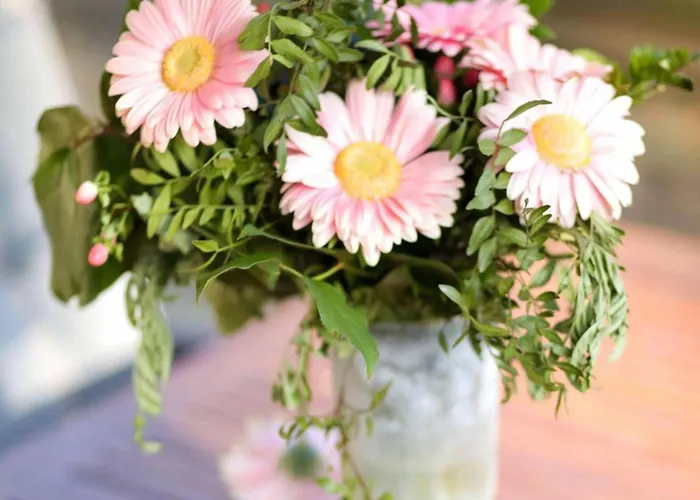 Дом отдыха Zonnestroom