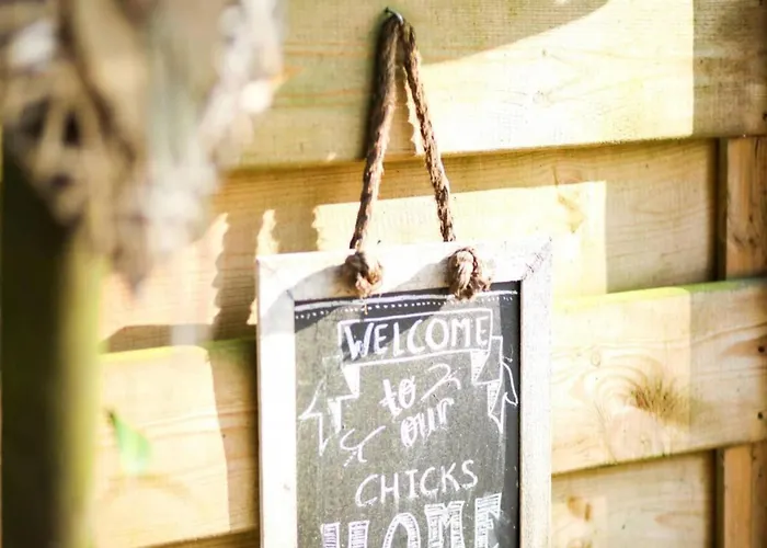 Дом отдыха Zonnestroom