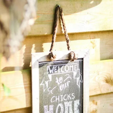 Dom wakacyjny Zonnestroom